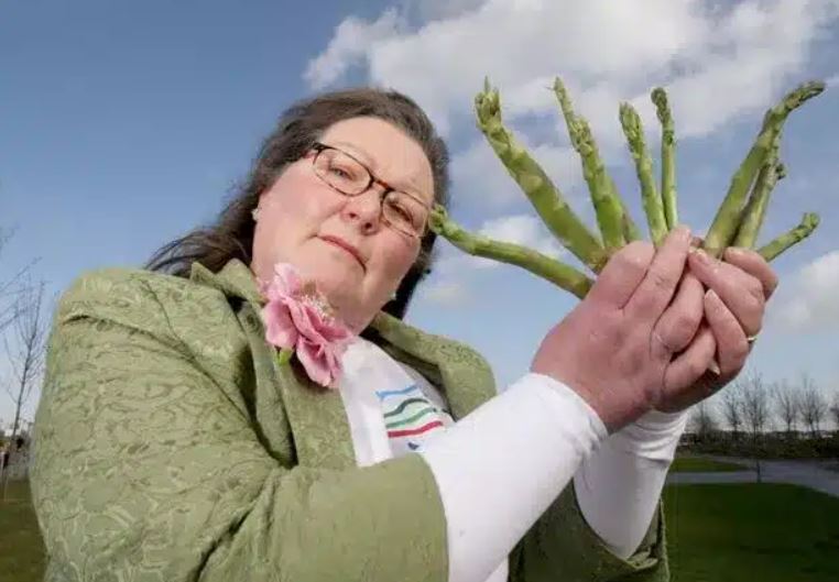 προβλέψεις