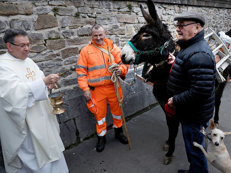 Εκκλησιάζονται τα κατοικίδια 