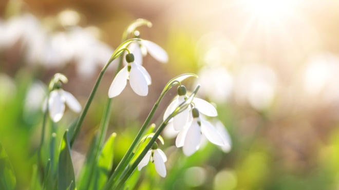 aytes-tis-imerominies-paixte-tzoker-amp-038-aytes-mi-vgeite-apto-spiti-tycheres-amp-038-dyskoles-meres-toy-marti-symfona-me-tin-asi-mpilioy-235133