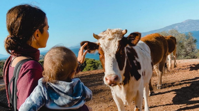 megales-chares-gia-tin-erietta-koyrkoyloy-kai-ton-vyrona-vasileiadi-2-chronia-meta-tin-gennisi-toy-gioy-toys-241797