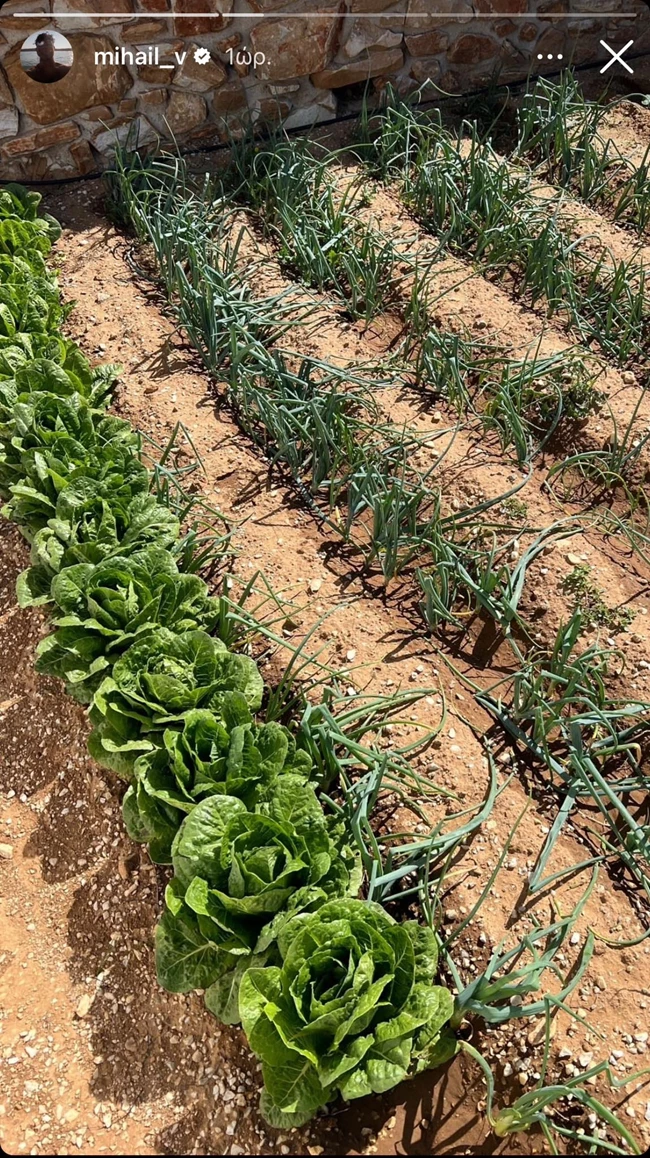 Μιχαήλ Βαρθακούρης