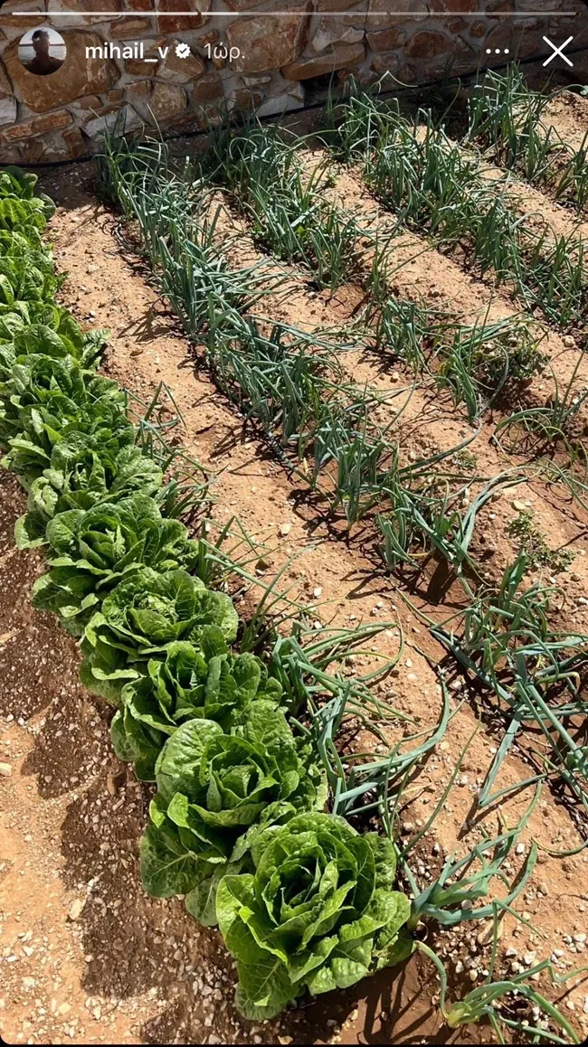 Μιχαήλ Βαρθακούρης σοδειά 