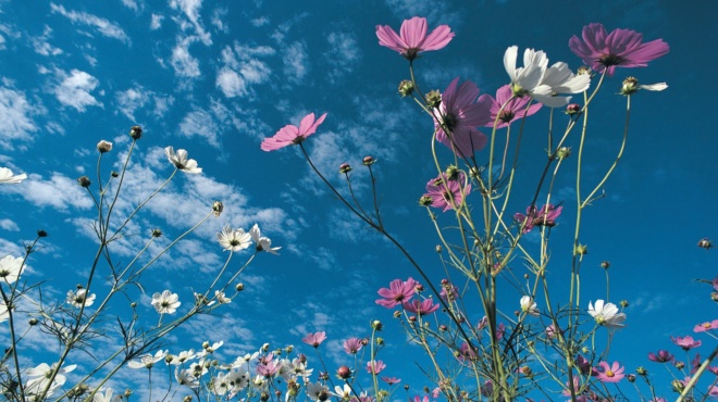 ayto-poy-mas-perimenei-toys-epomenoys-3-mines-amp-8230-efialtiki-provlepsi-amp-8211-ayto-edeixan-ta-merominia-gia-fetos-to-kalokairi-257115