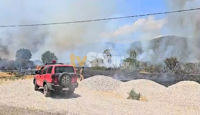 Μεγάλη φωτιά στον Άγιο Βλάσιο Βοιωτίας 