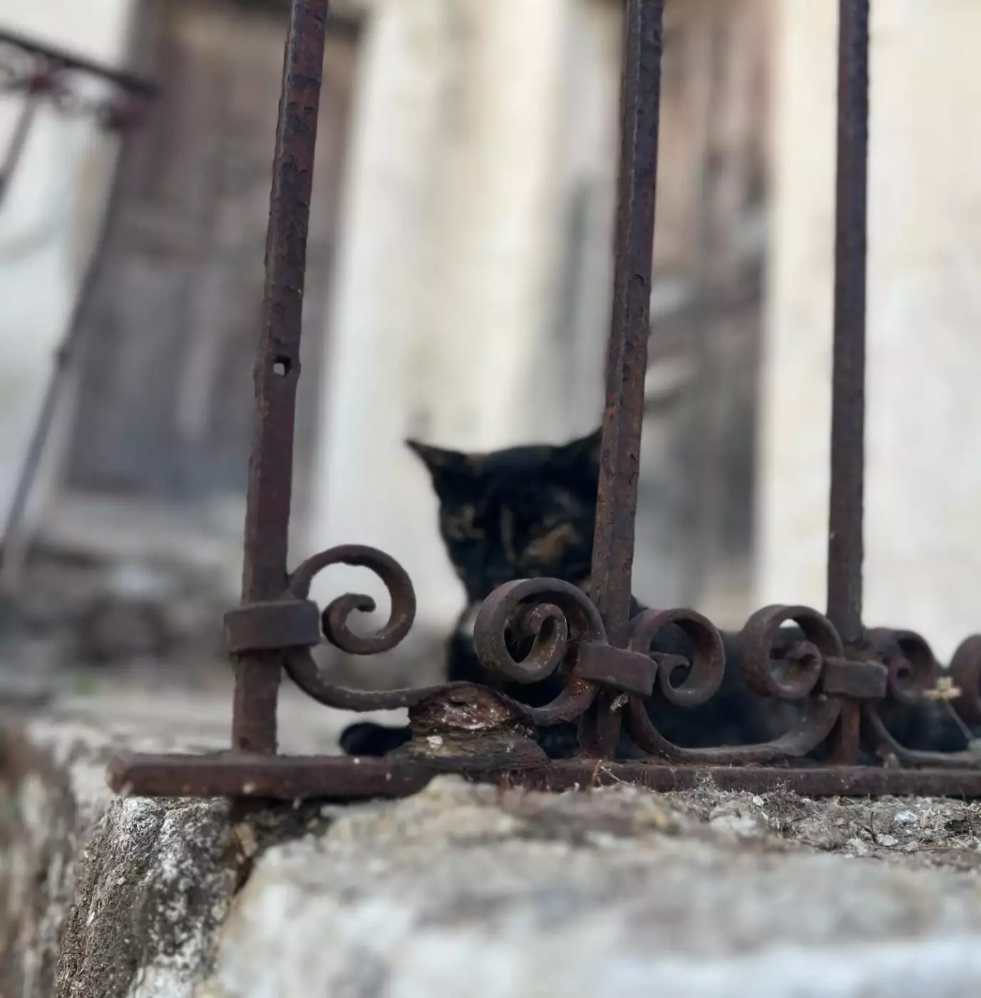 Ελεωνόρα Ζουγανέλη και Νίκος Συρίγος στην Αστυπάλαια