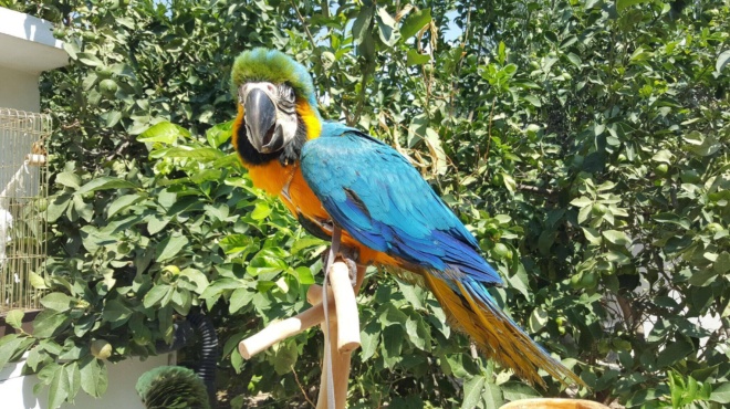 aparadektos-xenodochos-evale-papagaloys-krachtes-na-fernoyn-kosmo-sto-magazi-alla-to-plirose-akriva-otan-katalavan-ti-kanei-276514