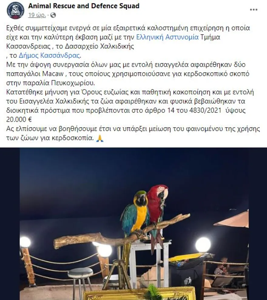 Δύο παπαγάλοι ως κράχτες σε ξενοδοχείο 