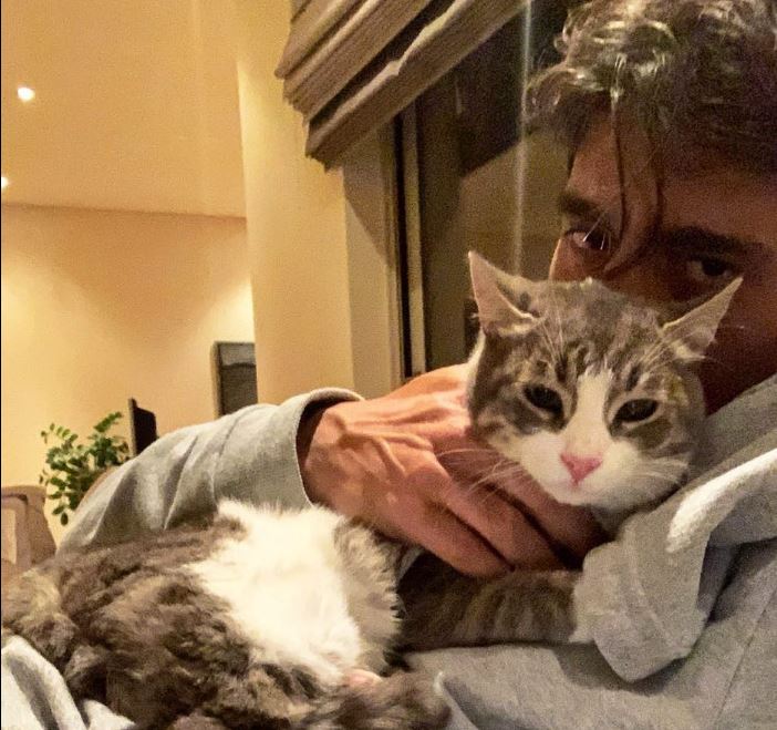 Ο Δημήτρης Γιαννακόπουλος βρήκε τον γάτο του 