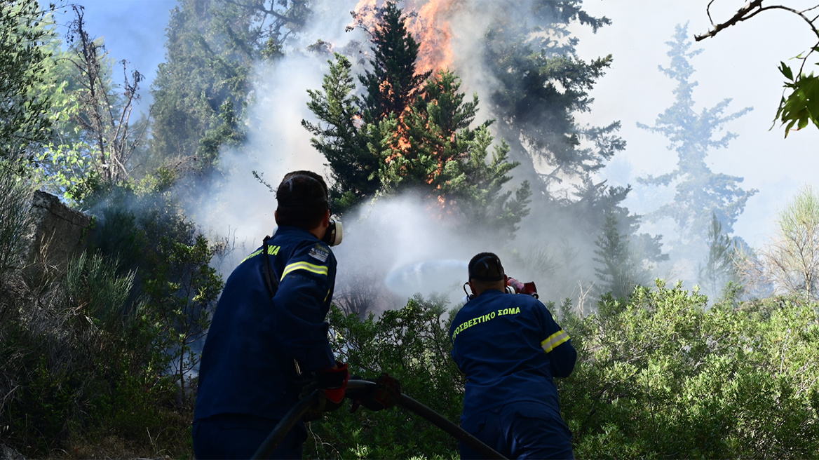 Γιατί έβαλε φωτιές η 44χρονη 