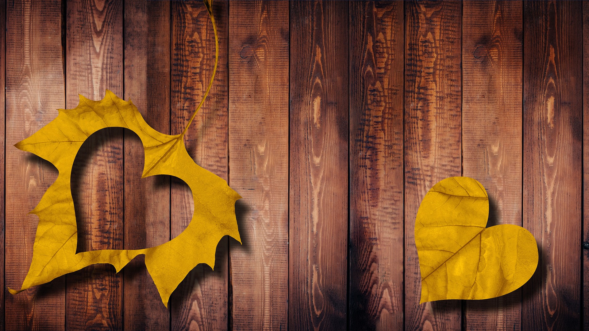 Τρία ζώδια που θα προοδεύσουν τον Σεπτέμβριο 