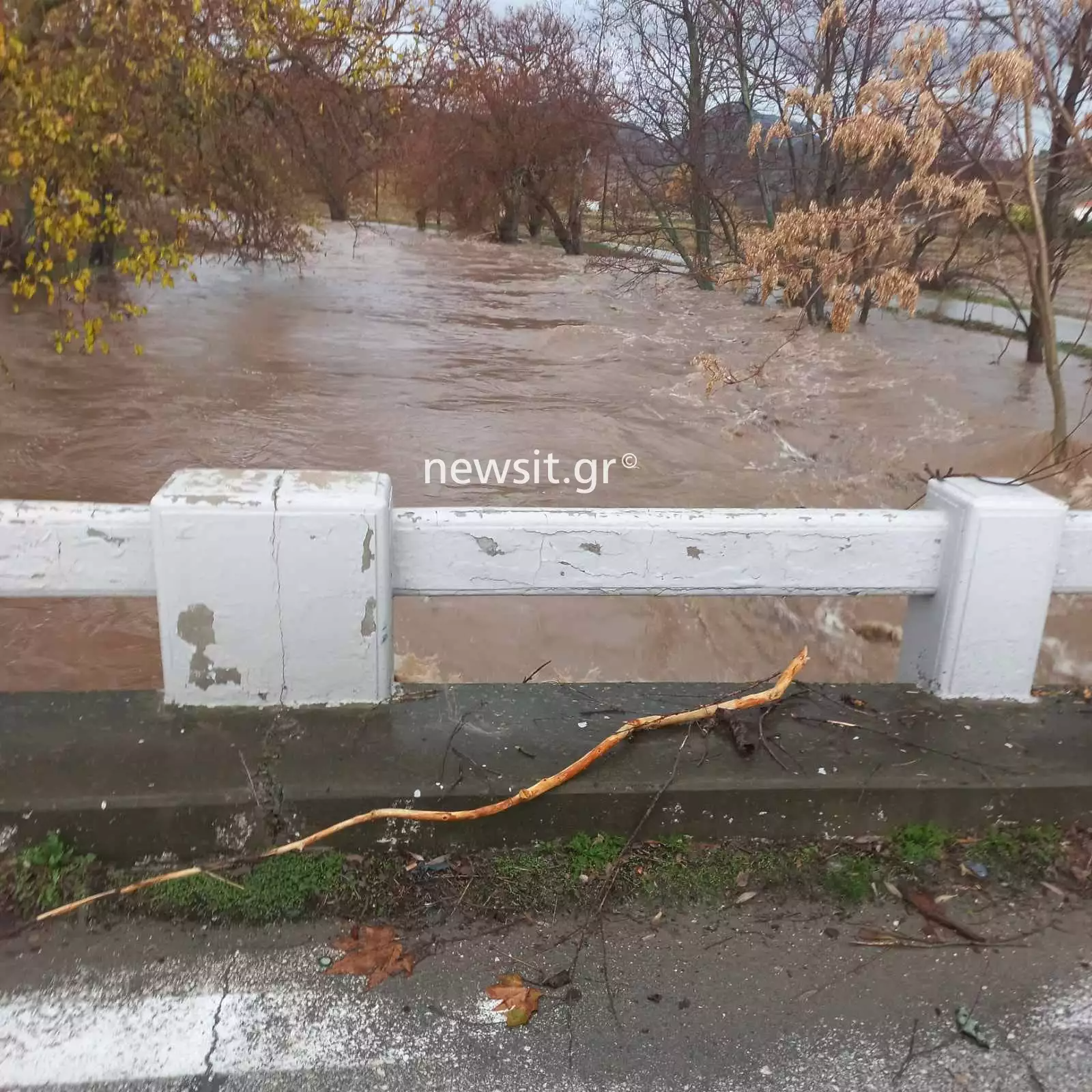 Νεκρός κτηνοτρόφος στη Λήμνο 