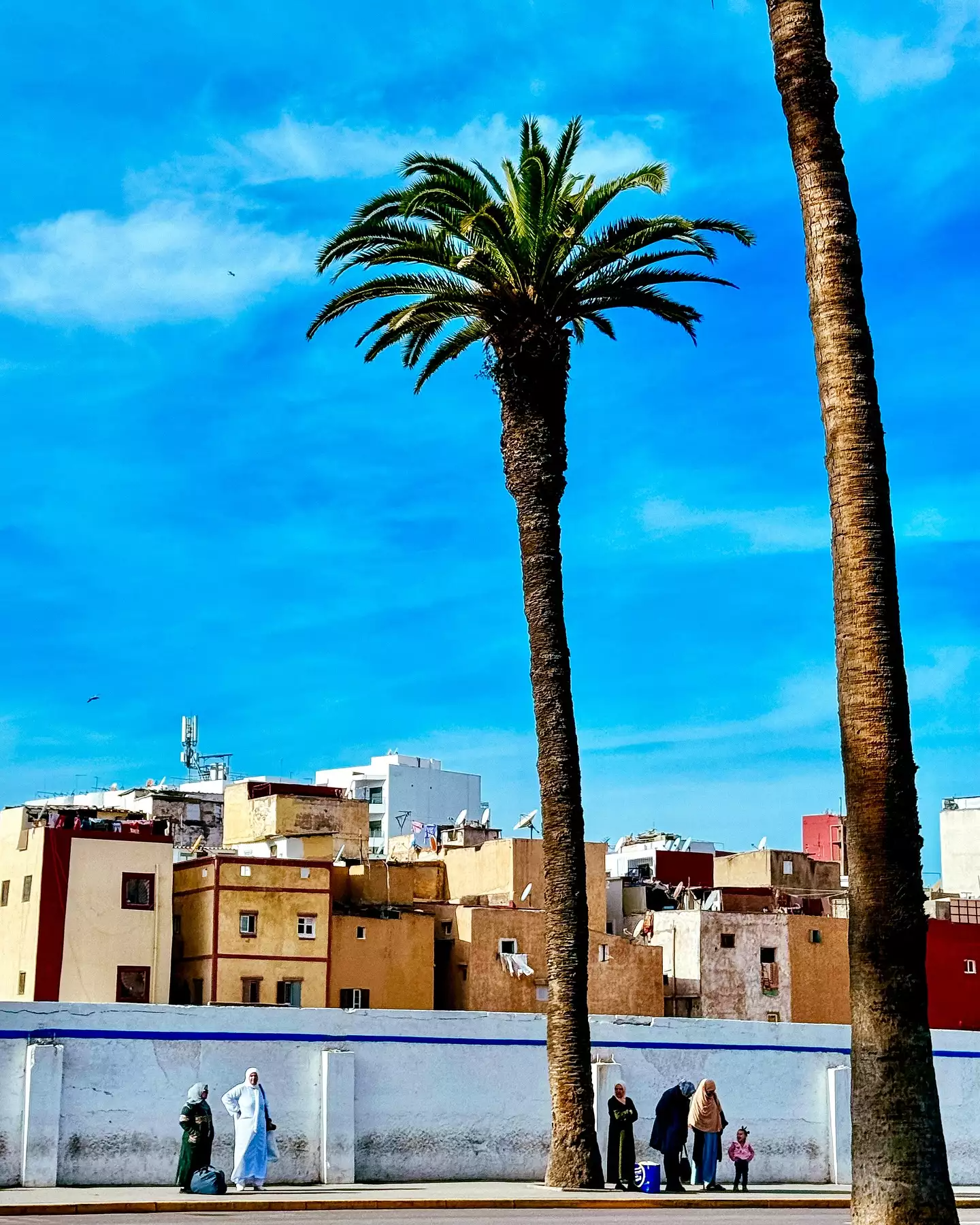 Η Μαρίνα Βερνίκου στην Καζαμπλάνκα 