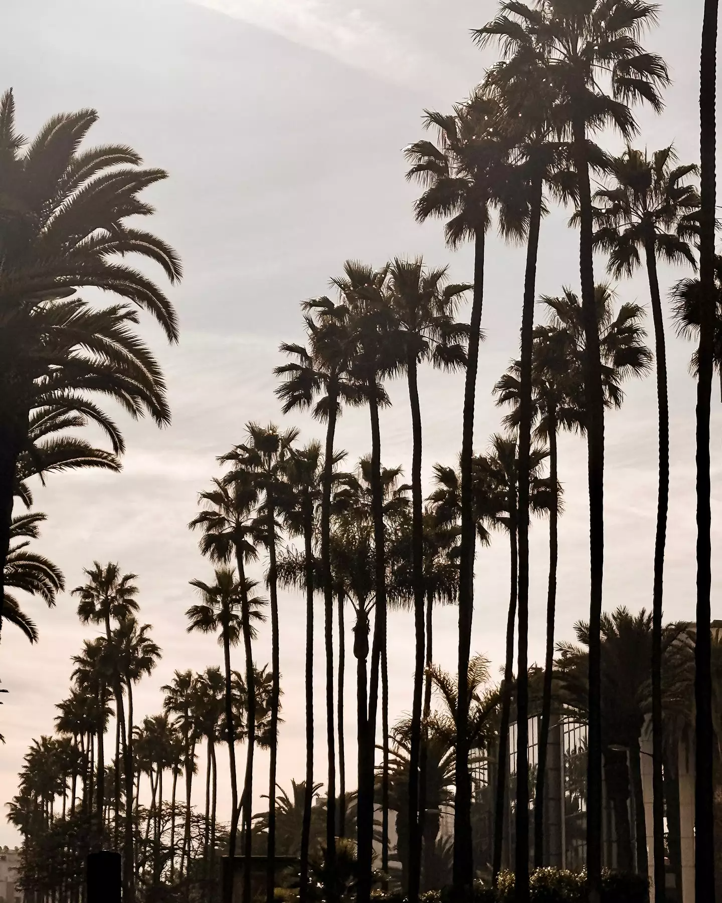 Η Μαρίνα Βερνίκου στην Καζαμπλάνκα 