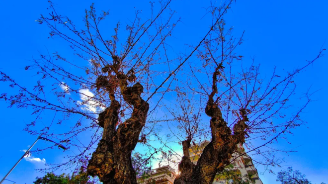 kairos-skotseziko-ntoys-ton-martio-pote-amp-8220-teleionei-amp-8221-o-cheimonas-354150