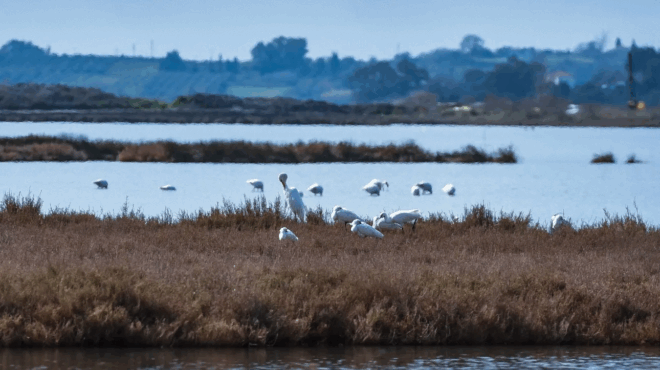 dramatiki-provlepsi-aytes-oi-10-perioches-tis-elladas-tha-vrethoyn-amp-8230-kato-apo-to-nero-amp-8211-tha-toys-amp-8230-katapiei-i-thalassa-370997