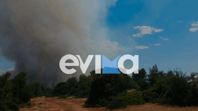 symvainei-tora-megali-fotia-stin-chora-mas-amp-8211-sti-machi-100-pyrosvestes-aeroskafi-kai-dyo-elikoptera-amp-8211-oi-protes-eikones-378604