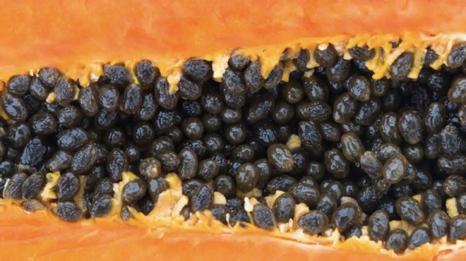 ofeli-gia-tin-ygeia-apo-toys-sporoys-papagias-giati-prepei-na-toys-symperilavete-sti-diatrofi-sas-377192