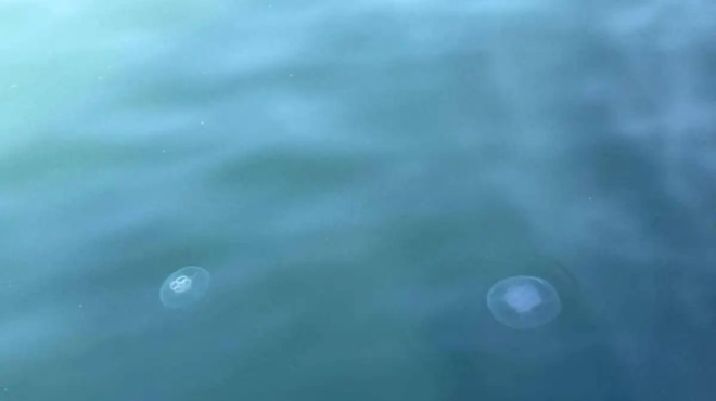 gemise-o-thermaikos-me-tis-medoyses-toy-feggarioy-amp-8211-ti-einai-amp-8211-poso-epikindynes-einai-gia-ton-anthropo-amp-8211-oli-i-alitheia-378653