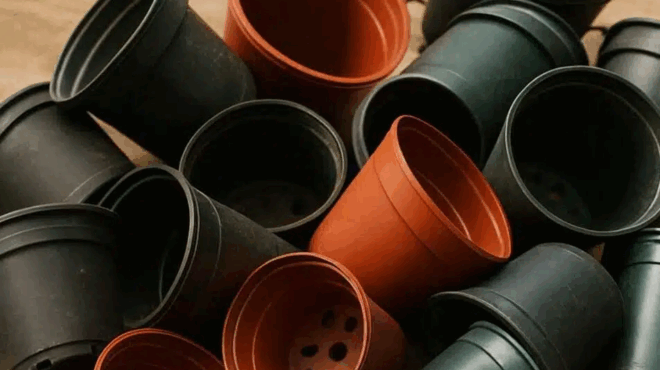 stamatiste-na-petate-tis-palies-plastikes-glastres-10-katapliktikoi-tropoi-na-tis-chrisimopoiisete-373258