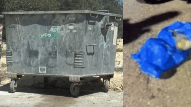 gnorizontan-chronia-itan-symmathitries-allaxe-fulo-o-syzygos-kai-pantreytikan-sokapouv-oi-apokalupseis-gia-tin-egkataleipsn-vrefoys-se-kado-380124