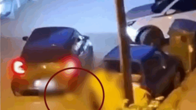 kalamaria-andras-klotsaei-gataki-kai-meta-to-pataei-me-to-aytokinito-toy-synelifthi-apo-astynomikoys-383552