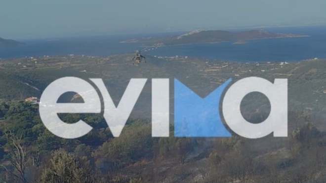 fotia-tora-stin-eyvoia-amp-8211-ekkenothike-xenodocheio-gemato-kosmo-amp-8211-dinei-machi-i-pyrosvestiki-388826