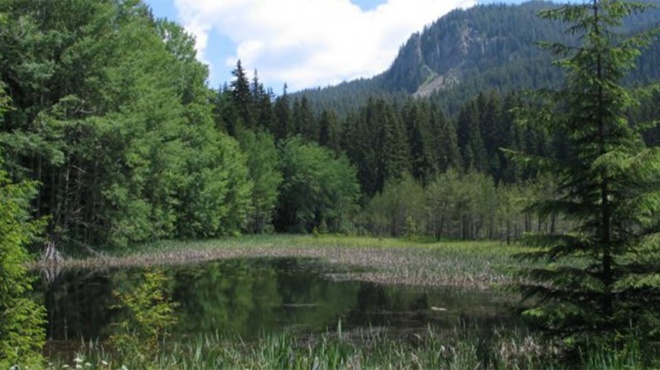 ti-kanei-ta-ateleiota-voyna-tis-voylgarias-na-min-kaigontai-opos-tis-elladas-390122