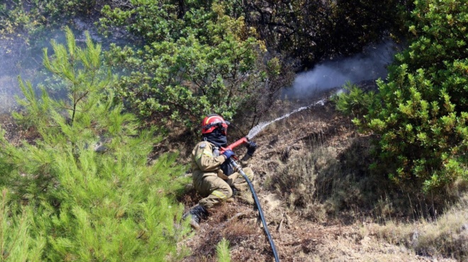 fotia-exo-apo-ti-thessaloniki-sti-chalkidona-390909