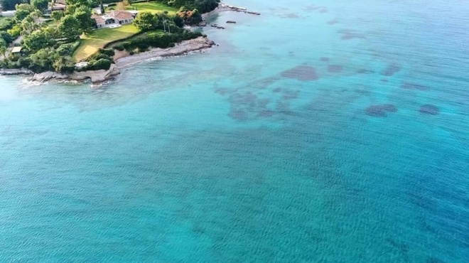 oyte-fidi-oyte-karcharias-oyte-arkoyda-ki-omos-ayto-einai-to-pio-thanatiforo-zoo-ston-planiti-kai-to-vlepoyme-mprosta-mas-kathe-mera-383609