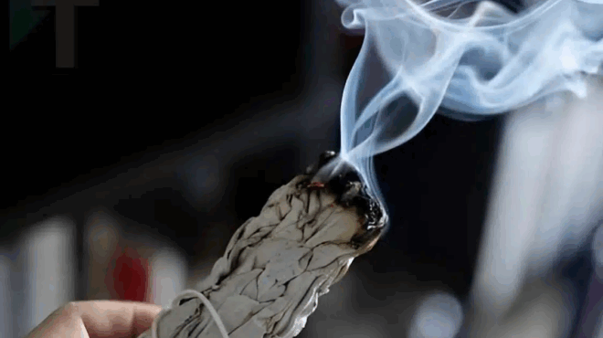 kapste-mia-merika-apo-ayta-ta-fylla-kai-exaleipste-tin-kaki-energeia-kai-to-kako-mati-385354