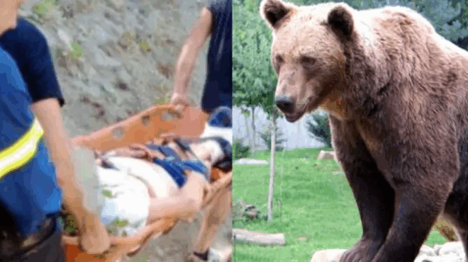 moy-eipe-ela-na-deis-mia-arkoyda-toy-dinei-mia-kai-efyge-kato-sygklonizei-o-oreivatis-sti-drama-385758