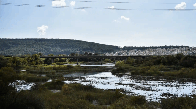 arta-epideinothike-i-ygeia-toy-andra-poy-esose-ta-paidia-apo-ton-arachtho-386759