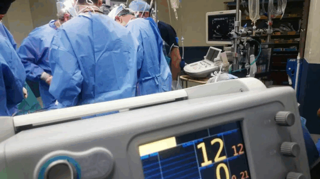 arta-apo-ton-arachtho-sto-cheiroyrgeio-zois-oloklirothikan-oi-elegchoi-gia-ta-organa-ton-dyo-agorion-386816