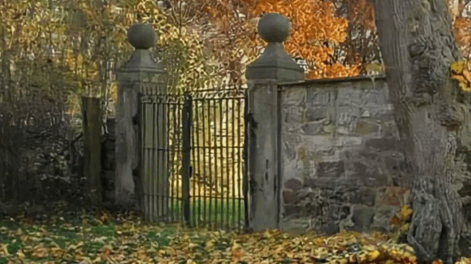 poy-vrisketai-i-gynaika-stin-eikona-mono-osoi-echoyn-aetisia-orasi-ta-katafernoyn-383193