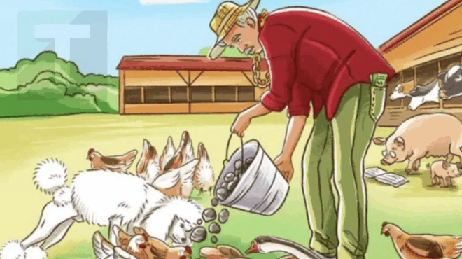 kati-den-paei-kala-me-aytin-tin-eikona-mporeite-na-vreite-ti-389930