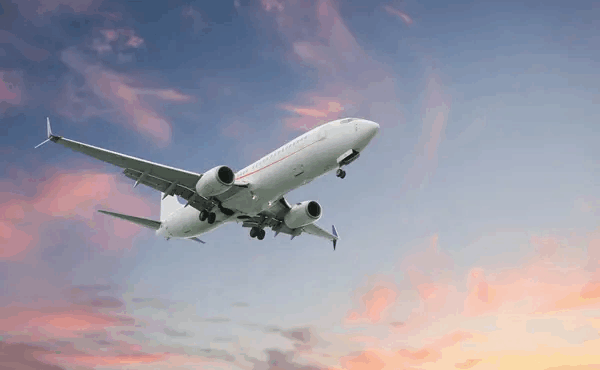 ektakti-eidisi-gia-aeroplano-gemato-epivates-poy-efyge-gia-parisi-389979