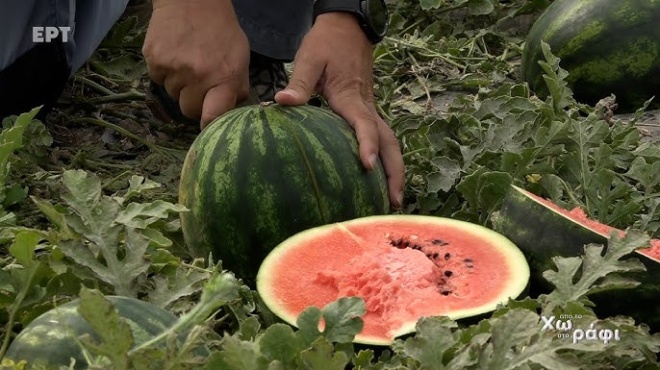 an-deite-ayto-to-simadi-sto-karpoyzi-sas-petaxte-to-amesos-amp-8211-kindyneyei-i-ygeias-sas-an-to-katanalosete-386848