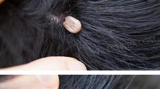 molis-anakalypsa-ayto-sta-mallia-toy-gioy-moy-ti-einai-ayto-den-eimai-sigoyri-an-prepei-na-pame-sto-giatro-386982