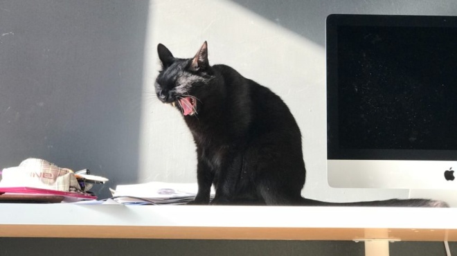 o-cheiroteros-minas-toy-2025-ta-2-pio-atycha-zodia-toy-ioynioy-poy-ta-echoyn-idi-vrei-skoyra-384492