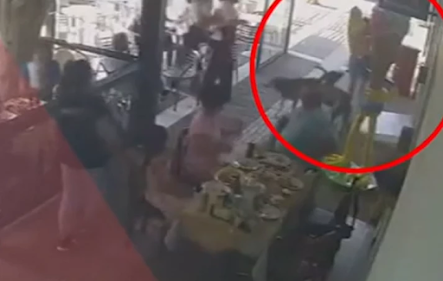 to-paidi-eiche-poly-vathia-traymata-sto-kefali-vinteo-apo-epithesi-skyloy-se-agoraki-2-5-eton-sto-layrio-387409