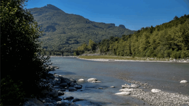 archise-na-ton-pnigei-ton-eiche-kefalokleidoma-kai-ton-epnige-etsi-egine-i-tragodia-ston-arachtho-spaei-tin-siopi-o-filos-ton-paidion-386558