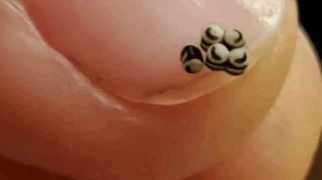 paraggeilame-mia-salata-alla-ypirchan-auta-ta-mikra-mayra-sto-fagito-pigame-kateytheian-sto-nosokomeio-384602