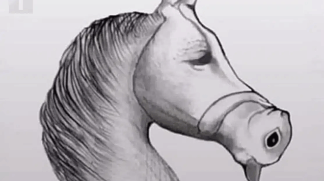 o-mesos-anthropos-to-vlepei-ayto-os-alogo-382794