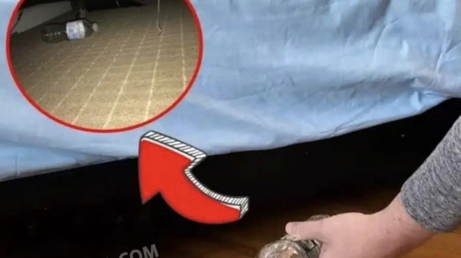 giati-prepei-na-rixete-ena-mpoykalaki-me-nero-kato-apo-to-krevati-sto-domatio-toy-xenodocheioy-molis-mpeite-mesa-392289