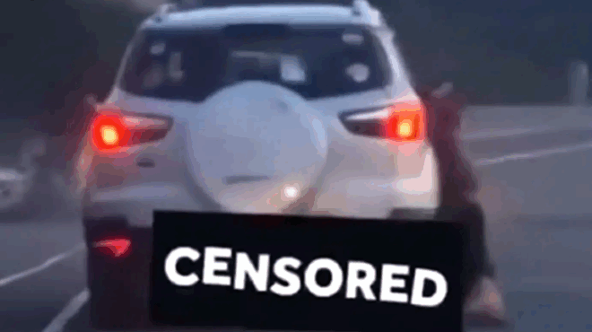 ekapsan-to-spiti-andra-poy-vinteoskopithike-na-sernei-ton-skylo-toy-me-to-aytokinito-mechri-thanatoy-393571