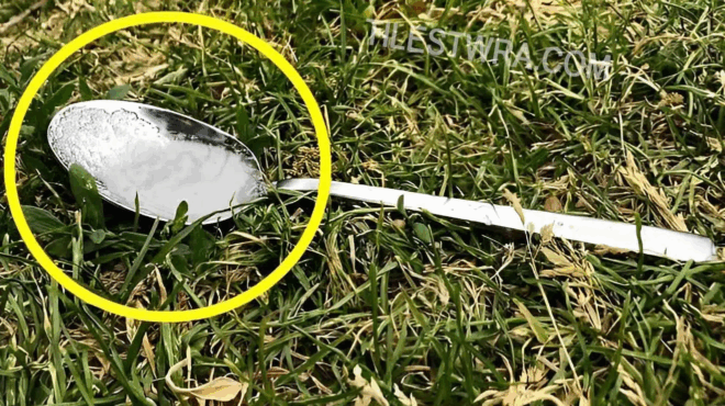 na-giati-prepei-na-afinoyme-ena-koytalaki-me-zachari-stin-ayli-mas-i-sto-mpalkoni-sas-otan-de-eimaste-spiti-396408