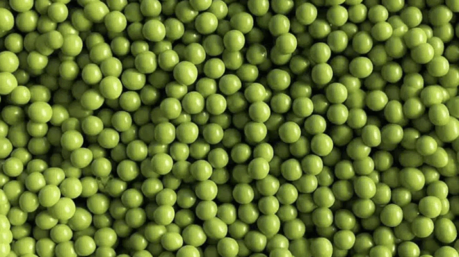 mporeite-na-vreite-poy-vrisketai-i-gata-krymmeni-anamesa-sta-mpizelia-396904