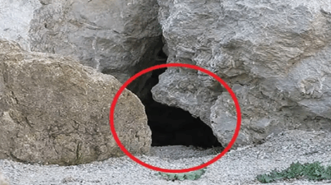 evalan-kamera-exo-apo-aytin-ti-spilia-epathan-tin-plaka-toys-otan-eidan-ti-kategrapse-398518