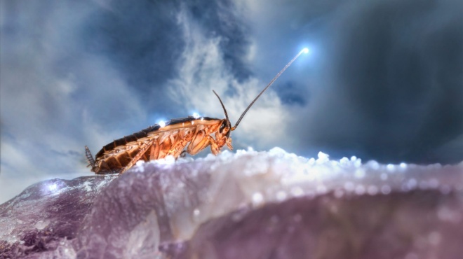 molis-nychtosei-rixe-sta-sifonia-kai-mprosta-stin-porta-soy-1-koytalia-apo-ayto-to-yliko-kai-den-xanavlepeis-katsarida-fetos-391933