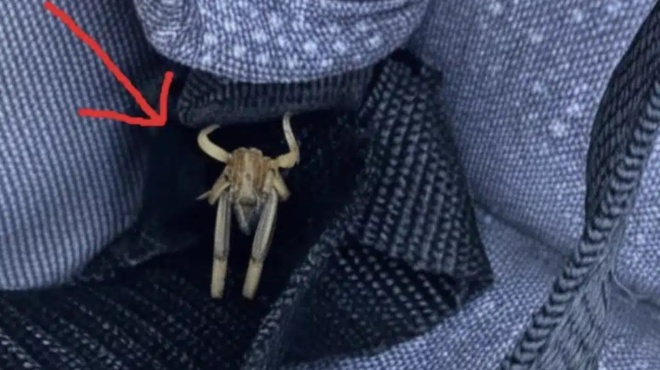 ta-echo-pantoy-sto-aytokinito-moy-ti-einai-pali-ayto-amp-8211-sto-1o-scholio-396114